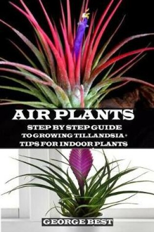 Cover of Air Plant