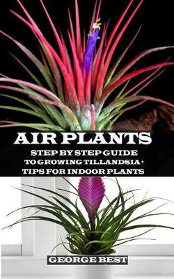 Book cover for Air Plant