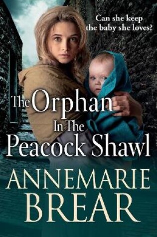 Cover of The Orphan in the Peacock Shawl