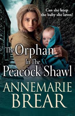 Book cover for The Orphan in the Peacock Shawl