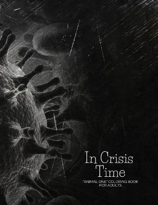 Book cover for In Crisis Time