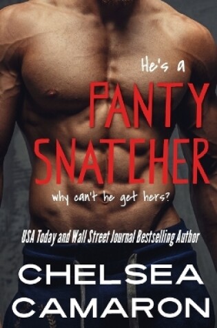 Cover of Panty Snatcher