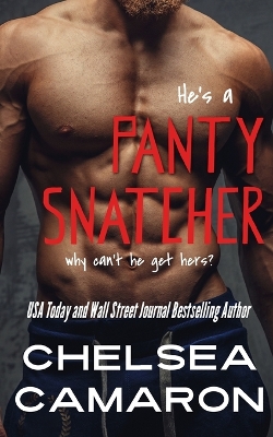 Book cover for Panty Snatcher