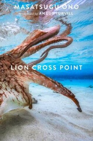 Cover of Lion Cross Point