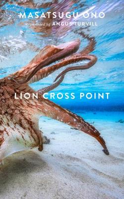 Book cover for Lion Cross Point