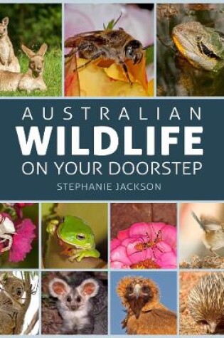 Cover of Australian Wildlife on Your Doorstep