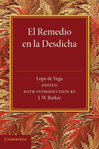 Cover of El remedio en la desdicha