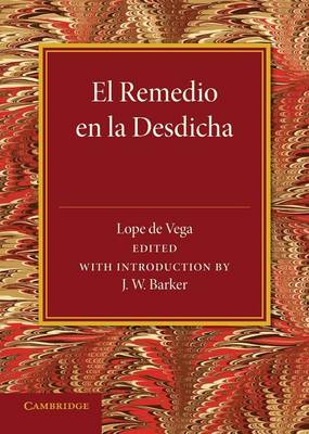 Book cover for El remedio en la desdicha