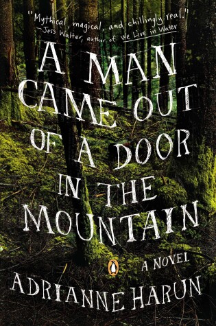 Cover of A Man Came Out of a Door in the Mountain