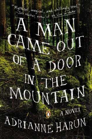 Cover of A Man Came Out Of A Door In The Mountain