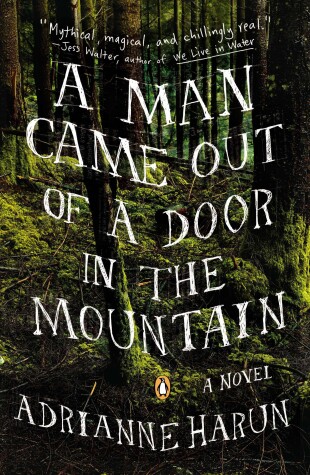 Book cover for A Man Came Out of a Door in the Mountain