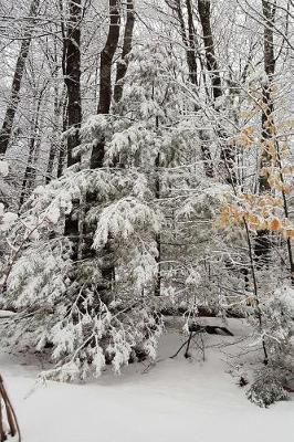 Cover of Journal Scenic Winter Weather Snowstorm