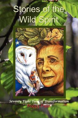 Book cover for Stories of the Wild Spirit
