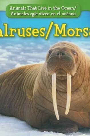 Cover of Walruses / Morsas