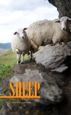 Book cover for Sheep Weekly Planner 2017