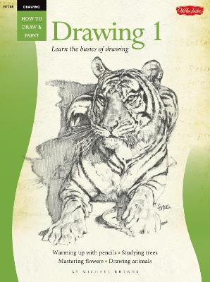 Book cover for Drawing: Drawing 1