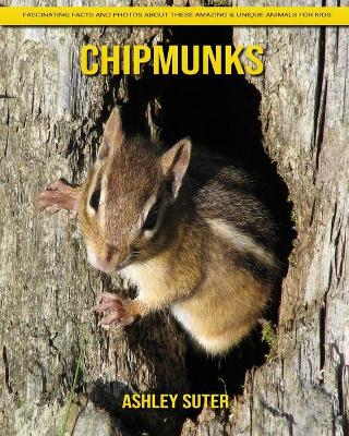 Book cover for Chipmunks