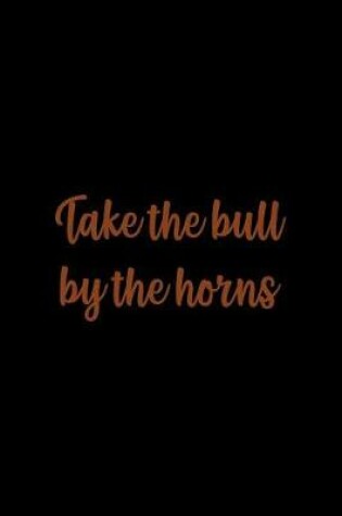 Cover of Take The Bull By The Horns