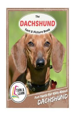 Book cover for The Dachshund Fact and Picture Book