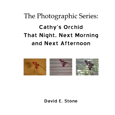 Book cover for Cathy's Orchid - That Night, Next Morning and Next Afternoon