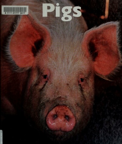 Cover of Pigs