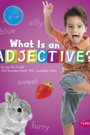 Cover of What Is an Adjective?