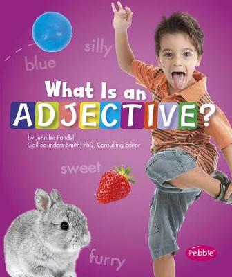 Book cover for What Is an Adjective?