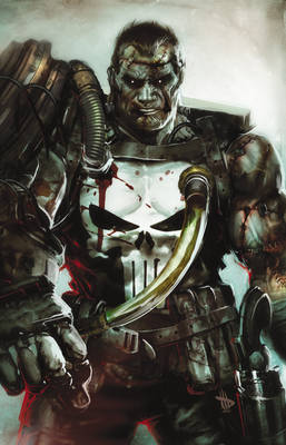 Book cover for Punisher: Franken-castle