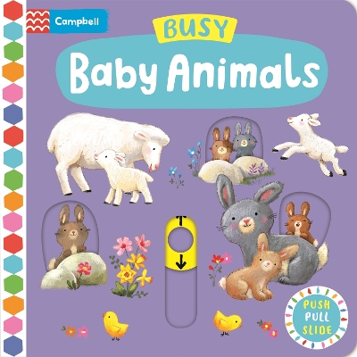 Book cover for Busy Baby Animals