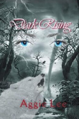 Cover of Dark Rising