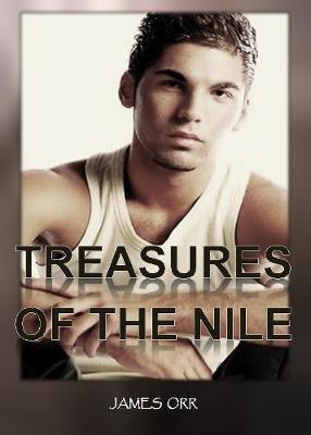 Book cover for Treasures of the Nile