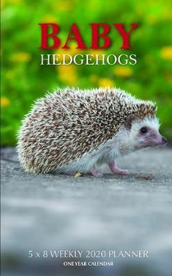 Book cover for Baby Hedgehogs 5 x 8 Weekly 2020 Planner