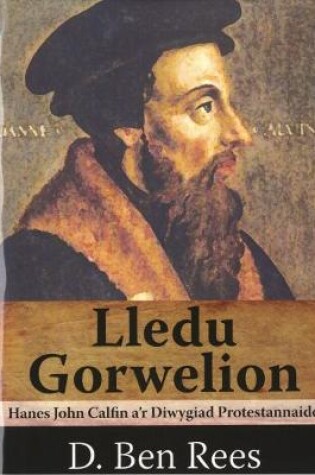 Cover of Lledu Gorwelion - Hanes John Calfin a'r Diwygiad Protestannaidd