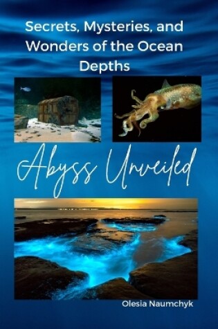 Cover of Abyss Unveiled