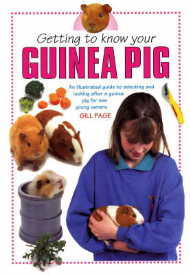 Book cover for Getting to Know Your Guinea Pig*** O/p