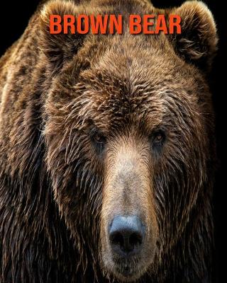 Book cover for Brown Bear