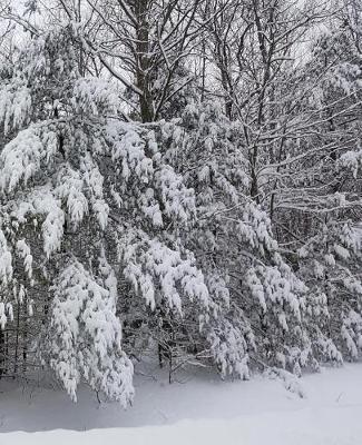 Cover of Winter School Composition Book Breathtaking Snow Photo 130 Pages