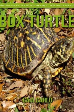 Cover of Box Turtle