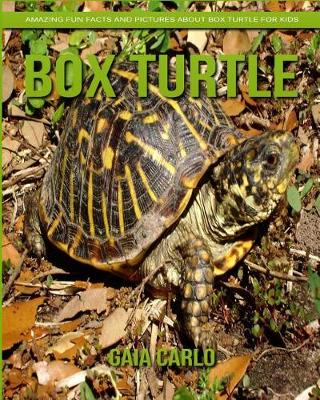 Book cover for Box Turtle