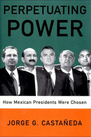 Cover of Perpetuating Power