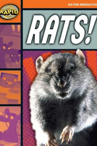 Cover of Rapid Reading: Rats! (Stage 4, Level 4B)