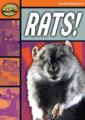 Book cover for Rapid Reading: Rats! (Stage 4, Level 4B)