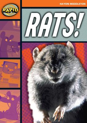 Cover of Rapid Reading: Rats! (Stage 4, Level 4B)