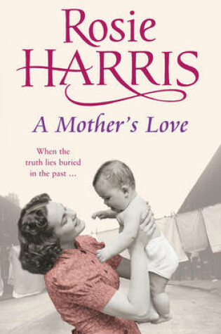 Cover of A Mothers Love, A