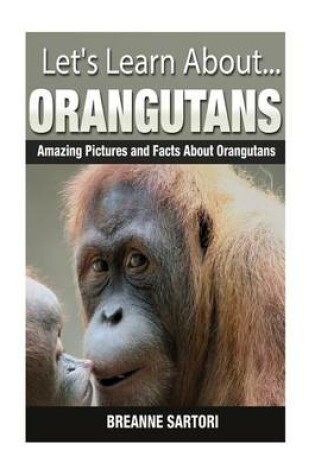 Cover of Orangutans