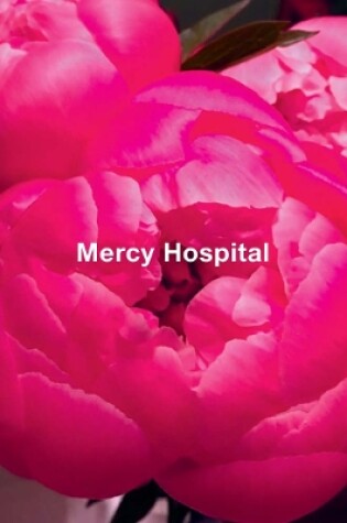 Cover of Ida Applebroog: Mercy Hospital