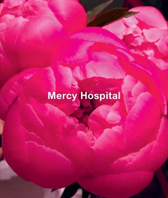 Book cover for Ida Applebroog: Mercy Hospital