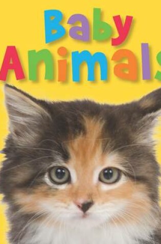 Cover of Touch and Feel Baby Animals