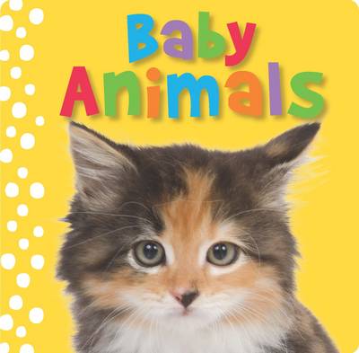 Book cover for Touch and Feel Baby Animals