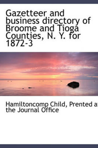 Cover of Gazetteer and Business Directory of Broome and Tioga Counties, N. Y. for 1872-3